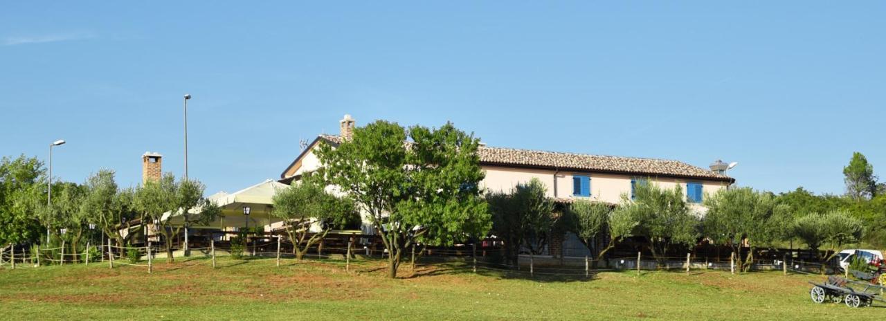 Bed&Breakfast Monte Rosso Пореч Экстерьер фото